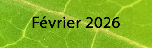 fevrier-2026